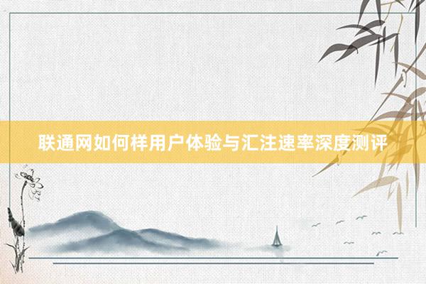 联通网如何样用户体验与汇注速率深度测评
